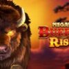 Buffalo Rising Megaways